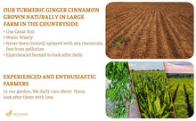 Load image into Gallery viewer, 7