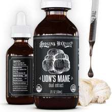 Load image into Gallery viewer, Hodgins Harvest Organic Reishi Mushroom Fruiting Body Extract Tincture - Extra Concentrated Dual Extract Supplement - Supports Heart Health &amp; Wellness - USDA Organic Mushrooms - 4 oz
