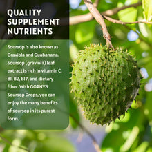 Load image into Gallery viewer, (2 Pack) Soursop Graviola Liquid Drops 1800mg, 98% Absorption Soursop Bitters Liquid for Cell Support &amp; Regeneration, Immune Boost, Relax, Liver and Sleep, Herbal Goodness, Gluten Free, 1 Fl Oz
