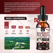 Load image into Gallery viewer, (2 Pack) Soursop Graviola Liquid Drops 1800mg, 98% Absorption Soursop Bitters Liquid for Cell Support &amp; Regeneration, Immune Boost, Relax, Liver and Sleep, Herbal Goodness, Gluten Free, 1 Fl Oz
