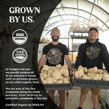 Load image into Gallery viewer, Hodgins Harvest Organic Reishi Mushroom Fruiting Body Extract Tincture - Extra Concentrated Dual Extract Supplement - Supports Heart Health &amp; Wellness - USDA Organic Mushrooms - 4 oz
