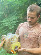 Load image into Gallery viewer, Hodgins Harvest Organic Reishi Mushroom Fruiting Body Extract Tincture - Extra Concentrated Dual Extract Supplement - Supports Heart Health &amp; Wellness - USDA Organic Mushrooms - 4 oz
