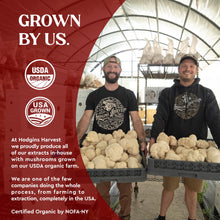 Load image into Gallery viewer, Hodgins Harvest Organic Reishi Mushroom Fruiting Body Extract Tincture - Extra Concentrated Dual Extract Supplement - Supports Heart Health &amp; Wellness - USDA Organic Mushrooms - 4 oz
