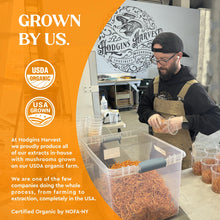 Load image into Gallery viewer, Hodgins Harvest Organic Reishi Mushroom Fruiting Body Extract Tincture - Extra Concentrated Dual Extract Supplement - Supports Heart Health &amp; Wellness - USDA Organic Mushrooms - 4 oz
