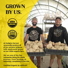 Load image into Gallery viewer, Hodgins Harvest Organic Reishi Mushroom Fruiting Body Extract Tincture - Extra Concentrated Dual Extract Supplement - Supports Heart Health &amp; Wellness - USDA Organic Mushrooms - 4 oz
